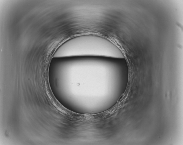 X0000094210097200710260942