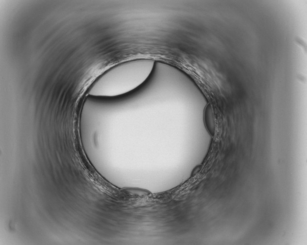 X0000094210098200710260942