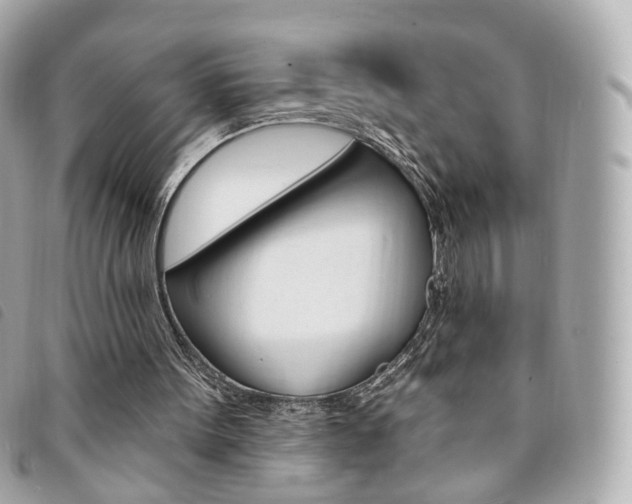 X0000094210099200710260941
