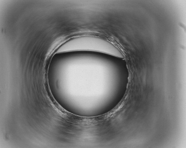 X0000094210101200710260941