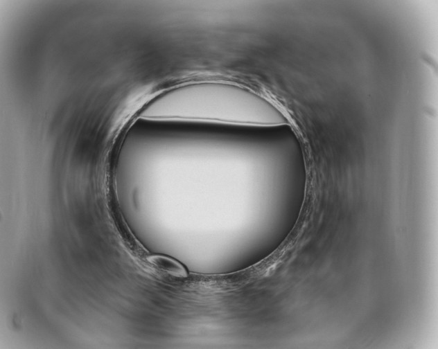 X0000094210103200710260941