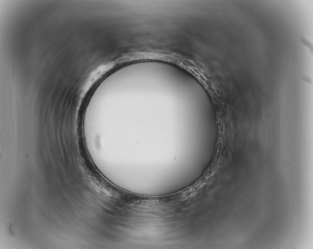 X0000094210104200710260941