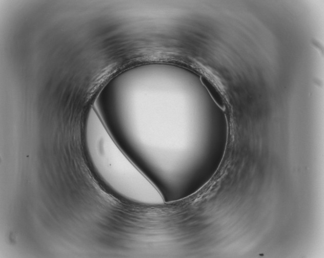 X0000094210105200710260941
