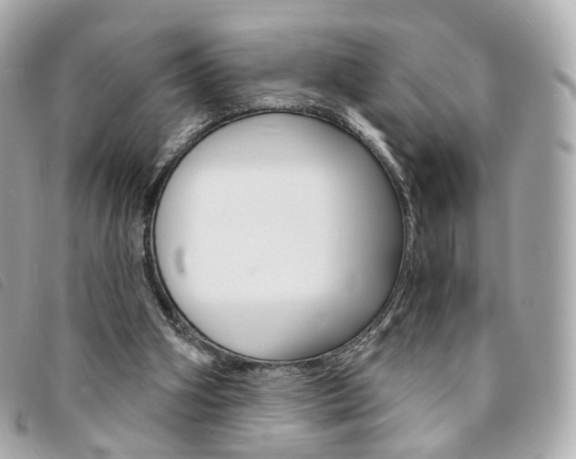X0000094210106200710260941