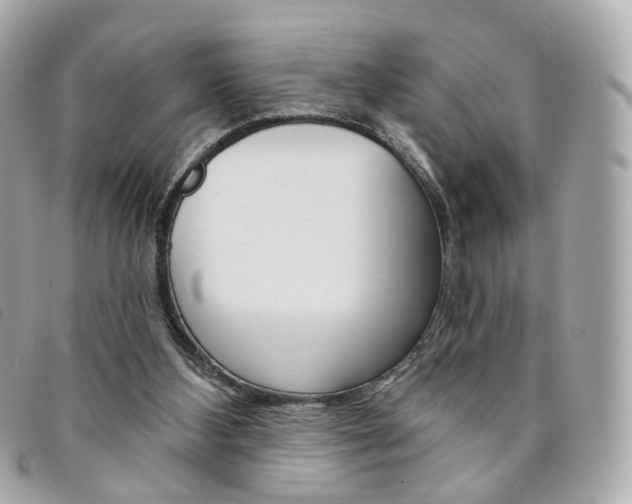 X0000094210108200710260941