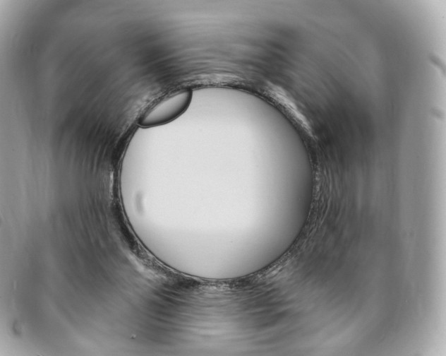 X0000094210110200710260941