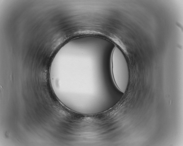 X0000094210111200710260941