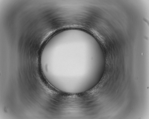 X0000094210112200710260941