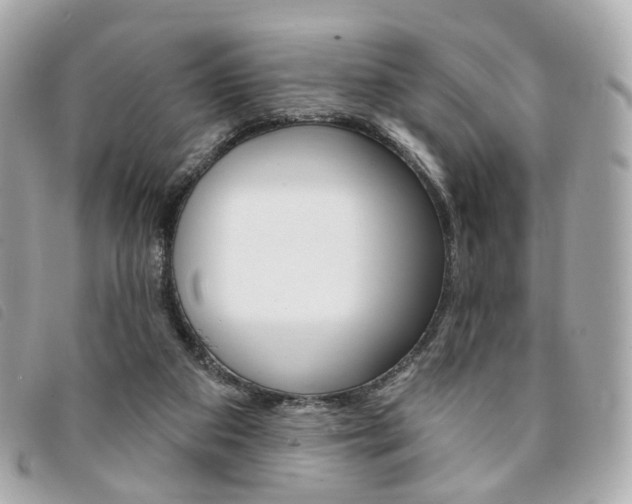 X0000094210113200710260941
