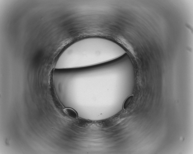 X0000094210115200710260941
