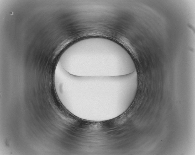 X0000094210116200710260941