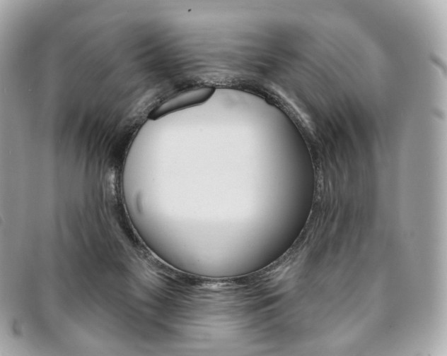 X0000094210117200710260941