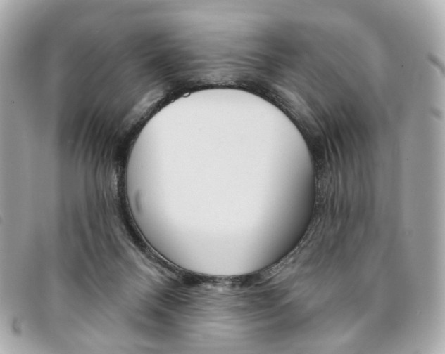 X0000094210120200710260941