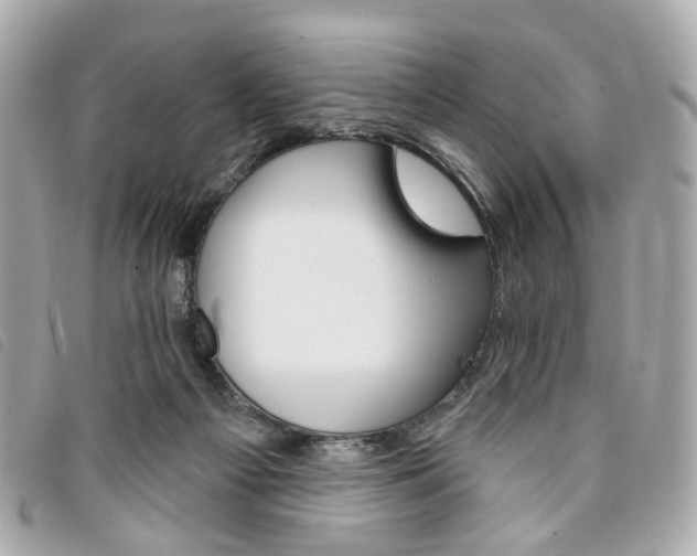 X0000094210121200710260941