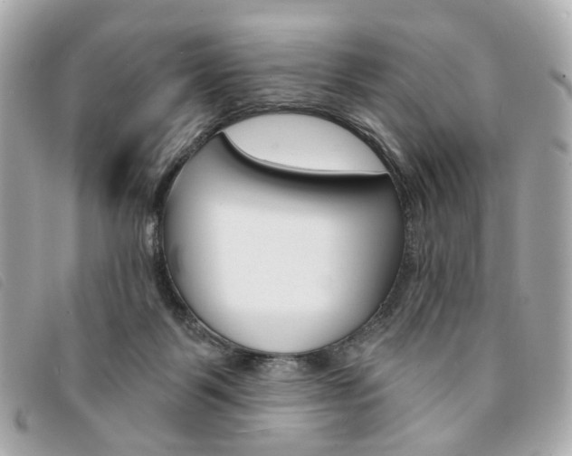 X0000094210123200710260941