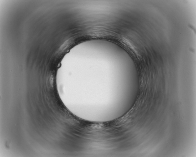 X0000094210124200710260941