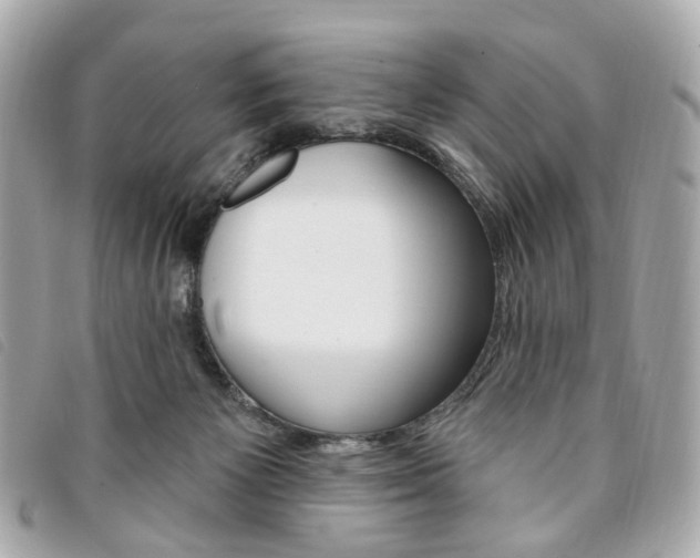 X0000094210125200710260941