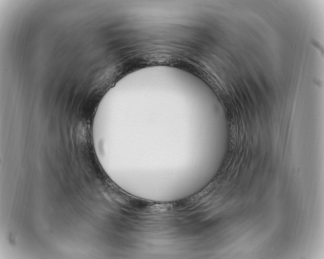 X0000094210126200710260941