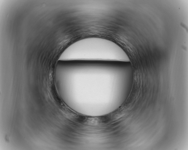 X0000094210127200710260941