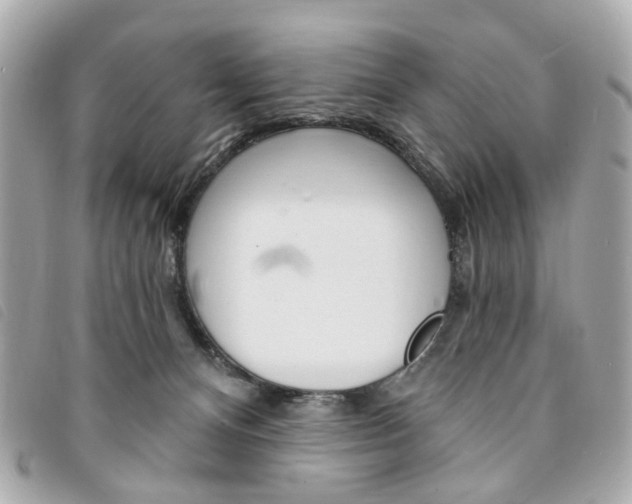 X0000094210128200710260941