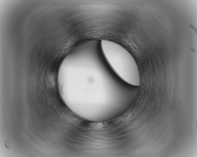 X0000094210131200710260941