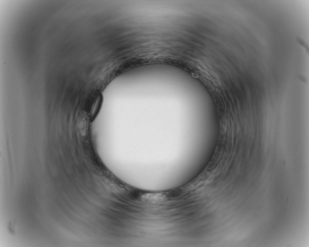 X0000094210133200710260941