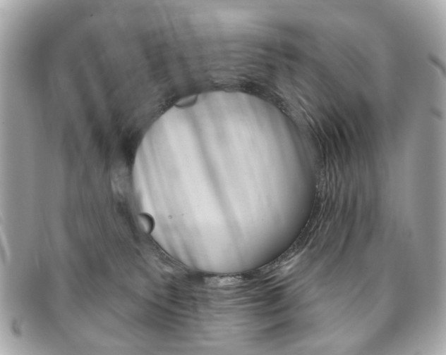 X0000094210135200710260941