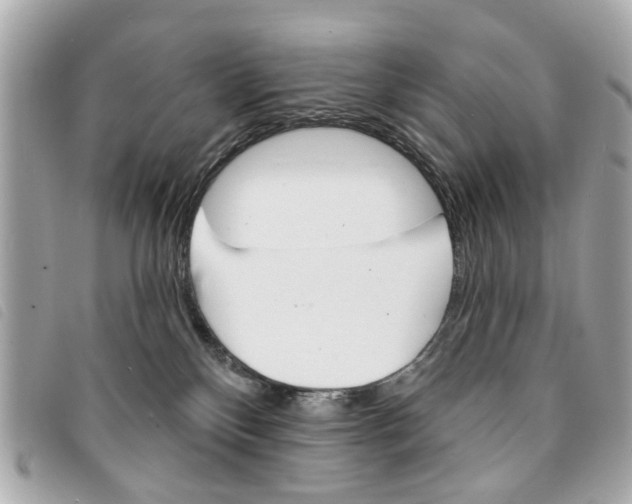 X0000094210136200710260941