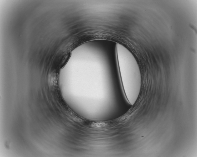 X0000094210137200710260941