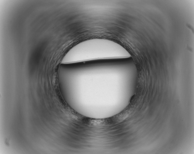 X0000094210139200710260941