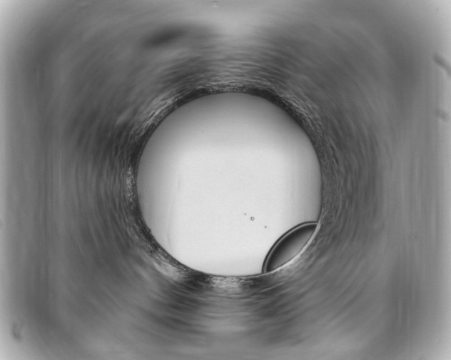 X0000094210144200710260941
