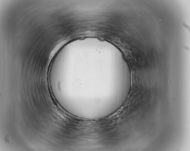 X0000094210147200710260940
