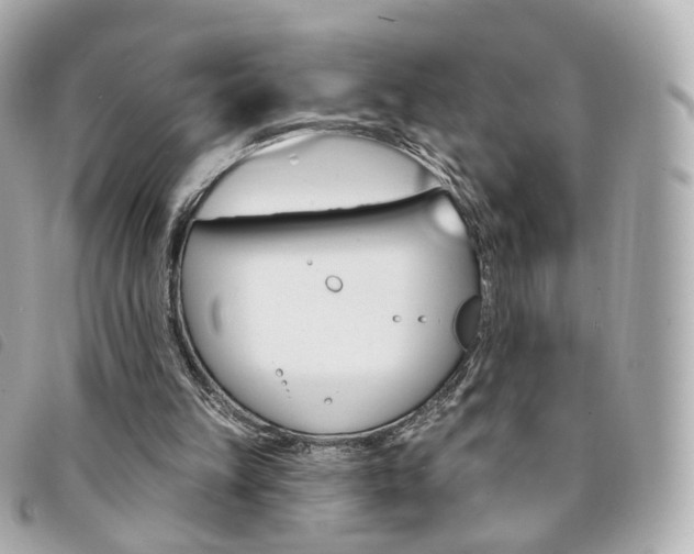 X0000094210149200710260940