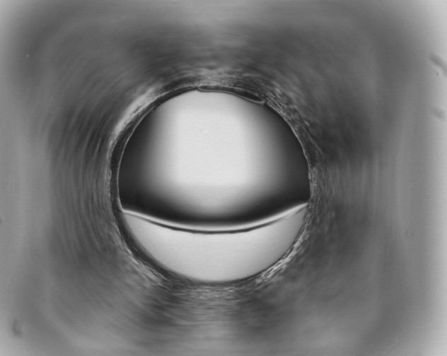 X0000094210150200710260940