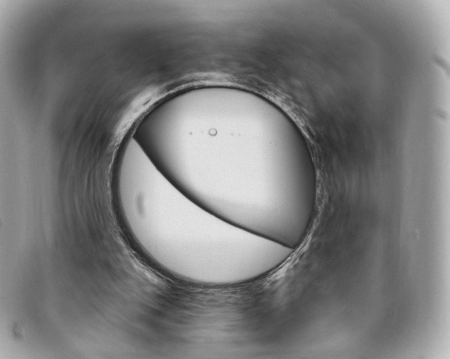X0000094210151200710260940