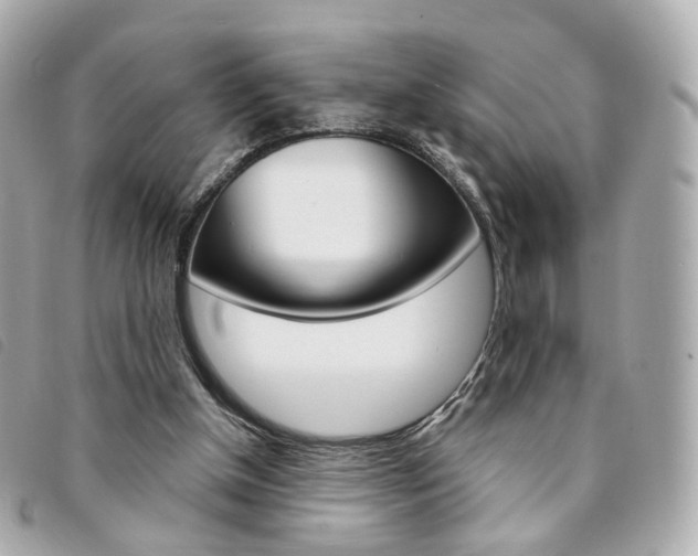 X0000094210154200710260940