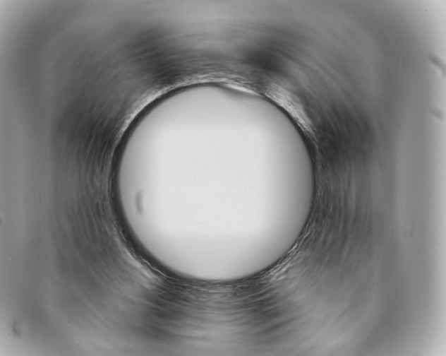 X0000094210156200710260941