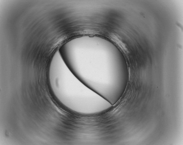X0000094210157200710260941