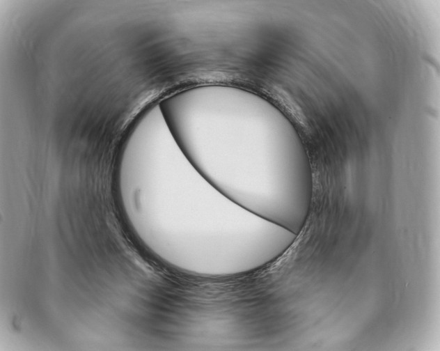 X0000094210159200710260941
