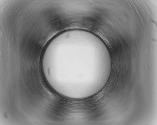 X0000094210160200710260941
