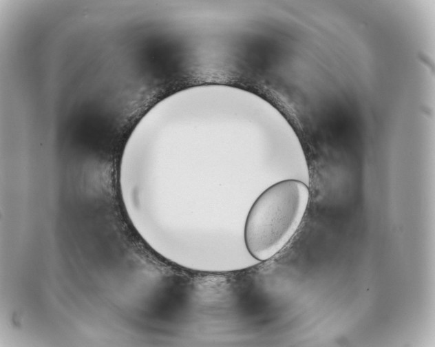 X0000094210162200710260941