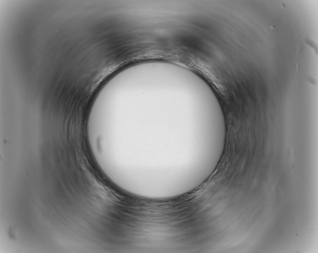 X0000094210164200710260941