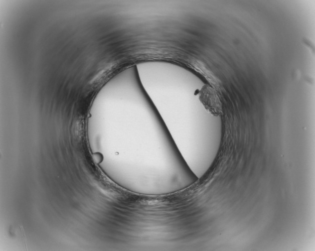 X0000094210165200710260941