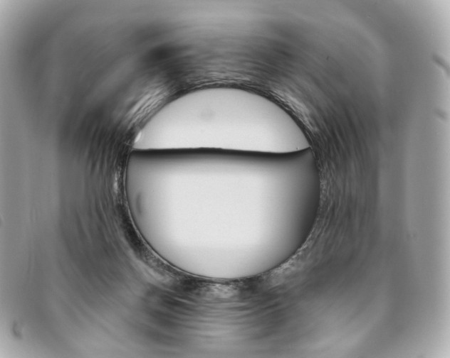 X0000094210166200710260941