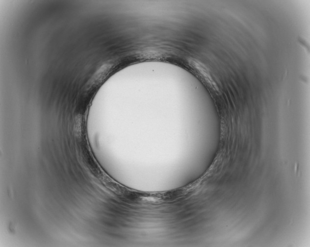 X0000094210167200710260941