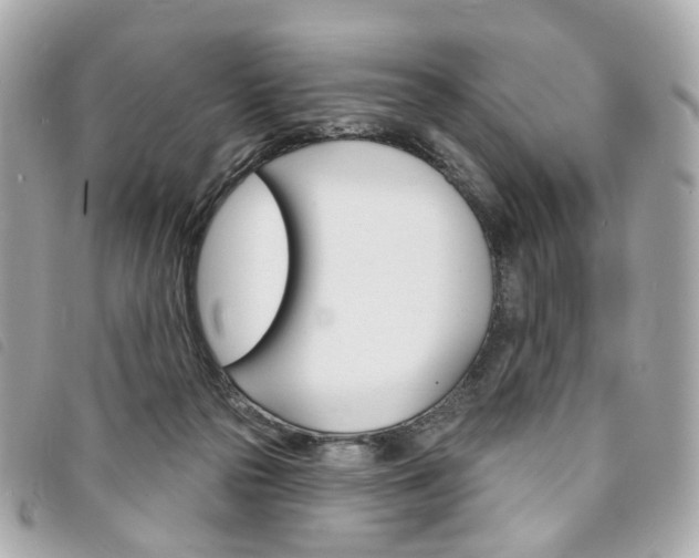 X0000094210169200710260941