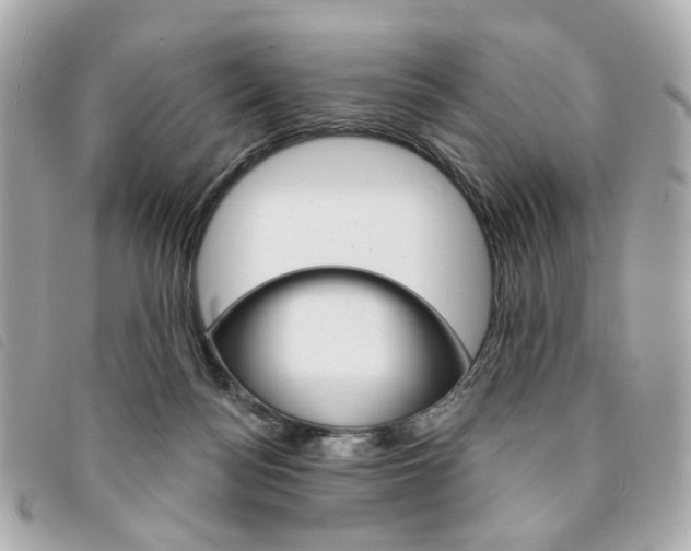 X0000094210172200710260941