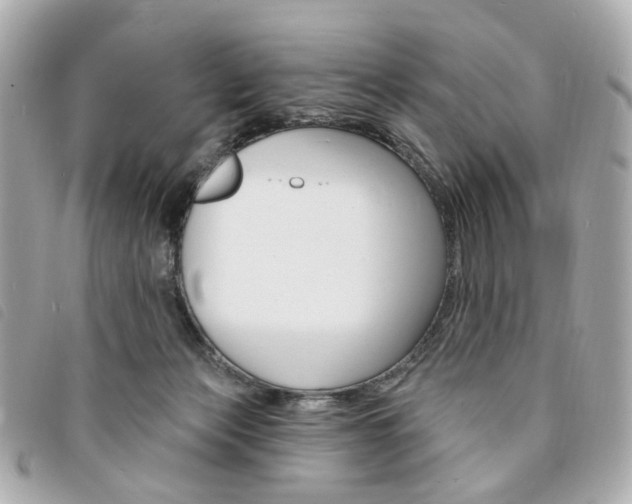 X0000094210173200710260941