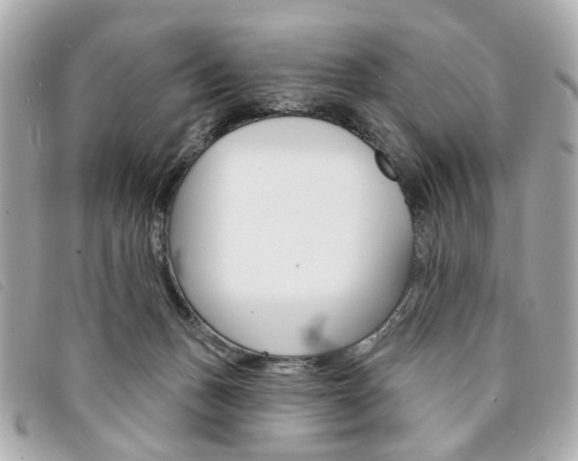 X0000094210175200710260941