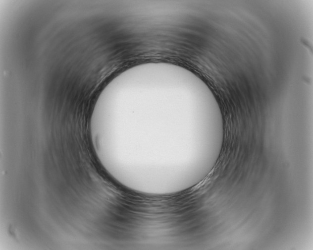 X0000094210176200710260941